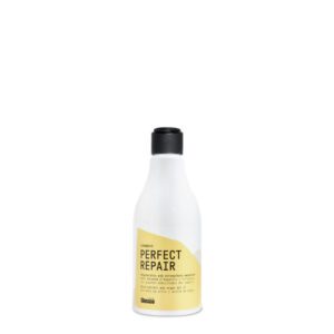 Champu perfect repair Glossco 250 ml