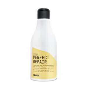 Champu perfect repair Glossco 250 ml